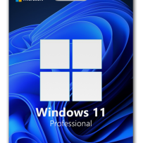 Windows 11 Pro Dijital Lisans